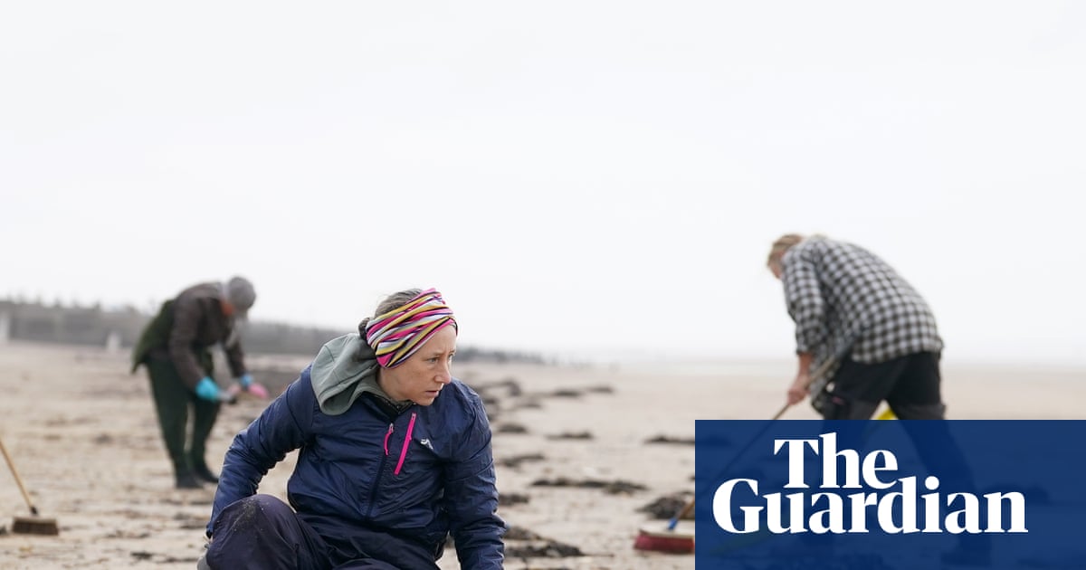 MP calls for ban on ‘biobeads’ at sewage works after devastating Camber Sands spillage | Pollution