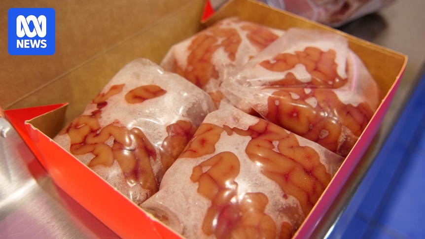 It's backed by Maggie Beer and researchers alike, so why don't we eat more offal?