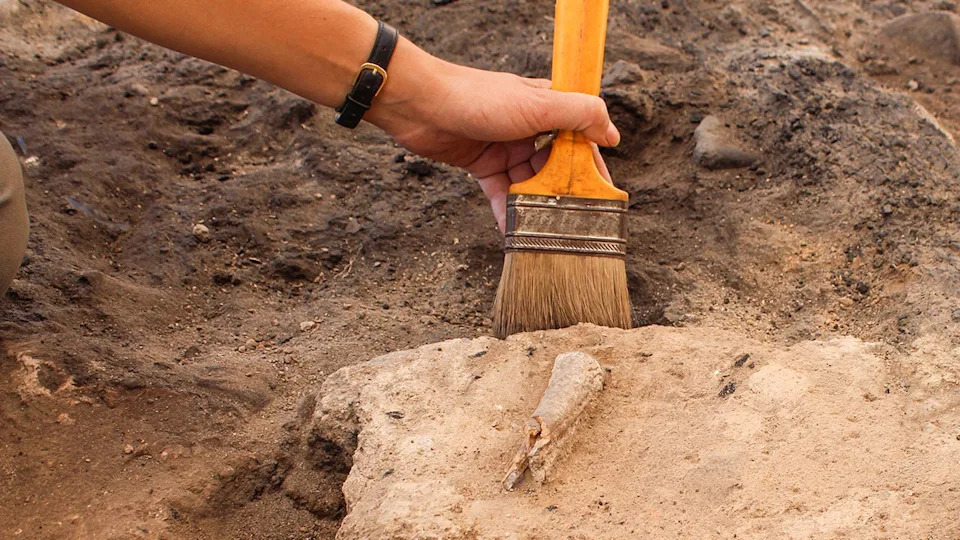 Archaeologist uses brush to dust dirt off stone at site.