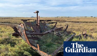 Country diary: A rusting shipwreck that’s part of the family | Environment