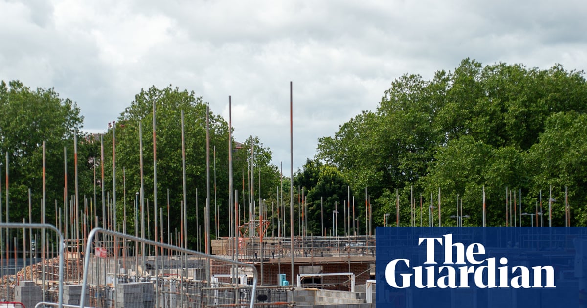 Ministers ‘break word’ on protecting nature after weakening biodiversity planning rule | Planning policy