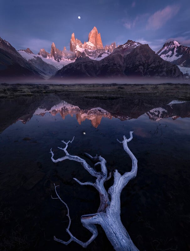 A dramatic mountain range glows at sunrise beneath a moonlit sky, reflected in a calm lake. A weathered, pale tree branch lies in the foreground, partially submerged in the water. Mist lingers at the base of the mountains.