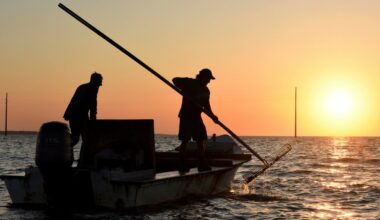 Ocean warming linked to massive shellfish losses in Japan