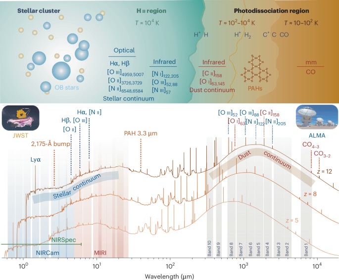 The early Universe with JWST and ALMA