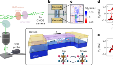 Ultrafast time-resolved observation of non-thermal current-induced switching in an antiferromagnetic Weyl semimetal