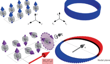 P-wave magnetism in a metal