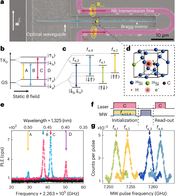 Entanglement of a nuclear spin qubit register in silicon photonics