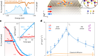 Exciton transport driven by spin excitations in an antiferromagnet