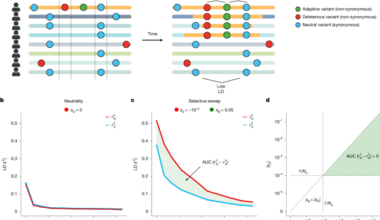 Gene-specific selective sweeps are pervasive across human gut microbiomes