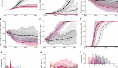 Policies for rapid decarbonization with steady economic transition and employment creation