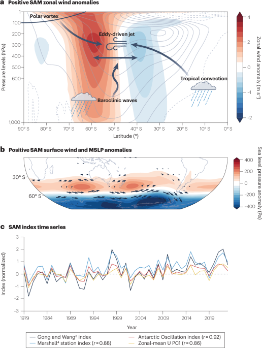 Southern Annular Mode dynamics, projections and impacts in a changing climate