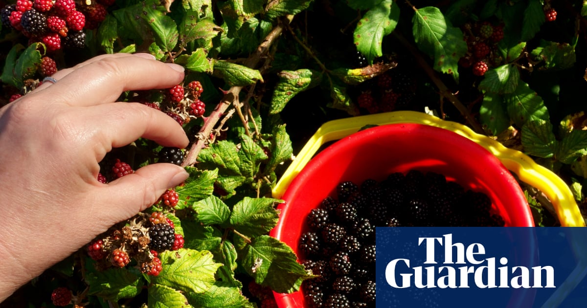 Nine eco-minded gifts for Americans that actually make a difference | Gift ideas from the Filter US