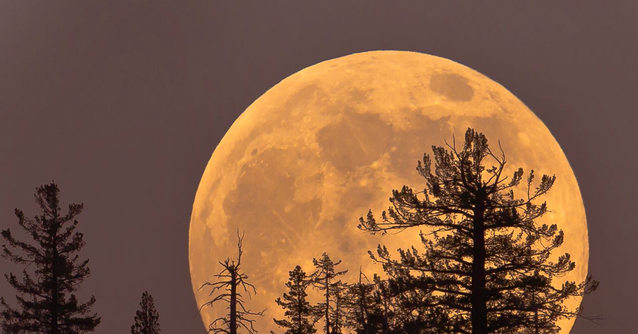 Thursday's Cold Moon Is the Last Supermoon of the Year. Here's How and When to View It