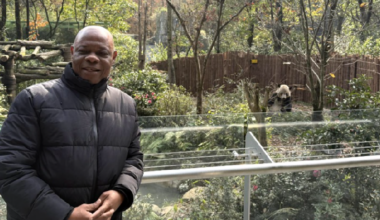 Exploring Chengdu's treasures: A journey into China's panda conservation and biodiversity protection - news.cgtn.com