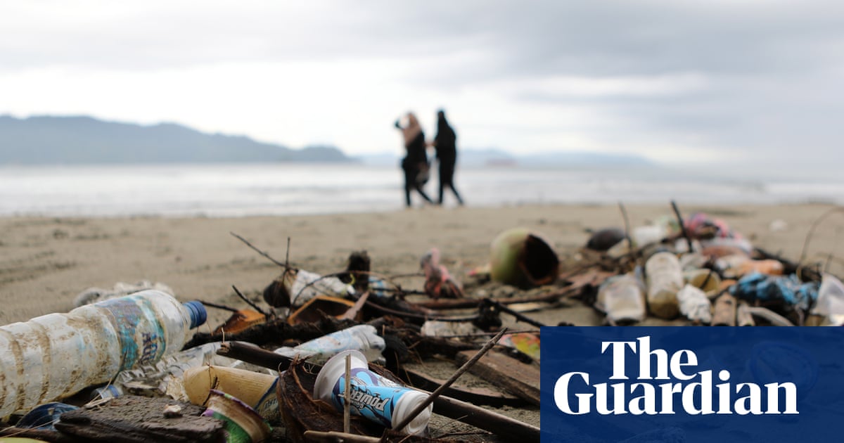 Reuse and return schemes could help eliminate plastic waste in 15 years – report | Plastics