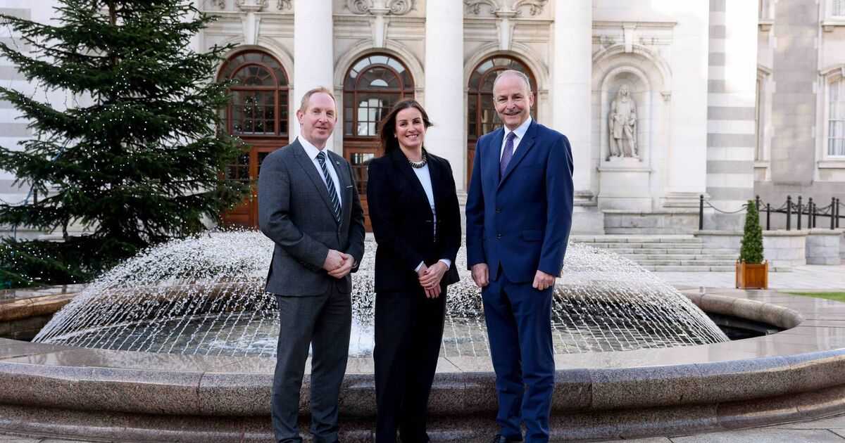 Healthcare software firm Dedalus to create 100 jobs in next four years