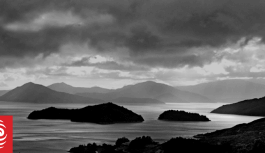 The marine species that have ‘totally disappeared’ from Marlborough Sounds