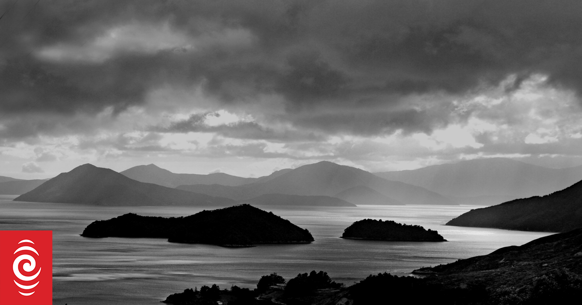 The marine species that have ‘totally disappeared’ from Marlborough Sounds