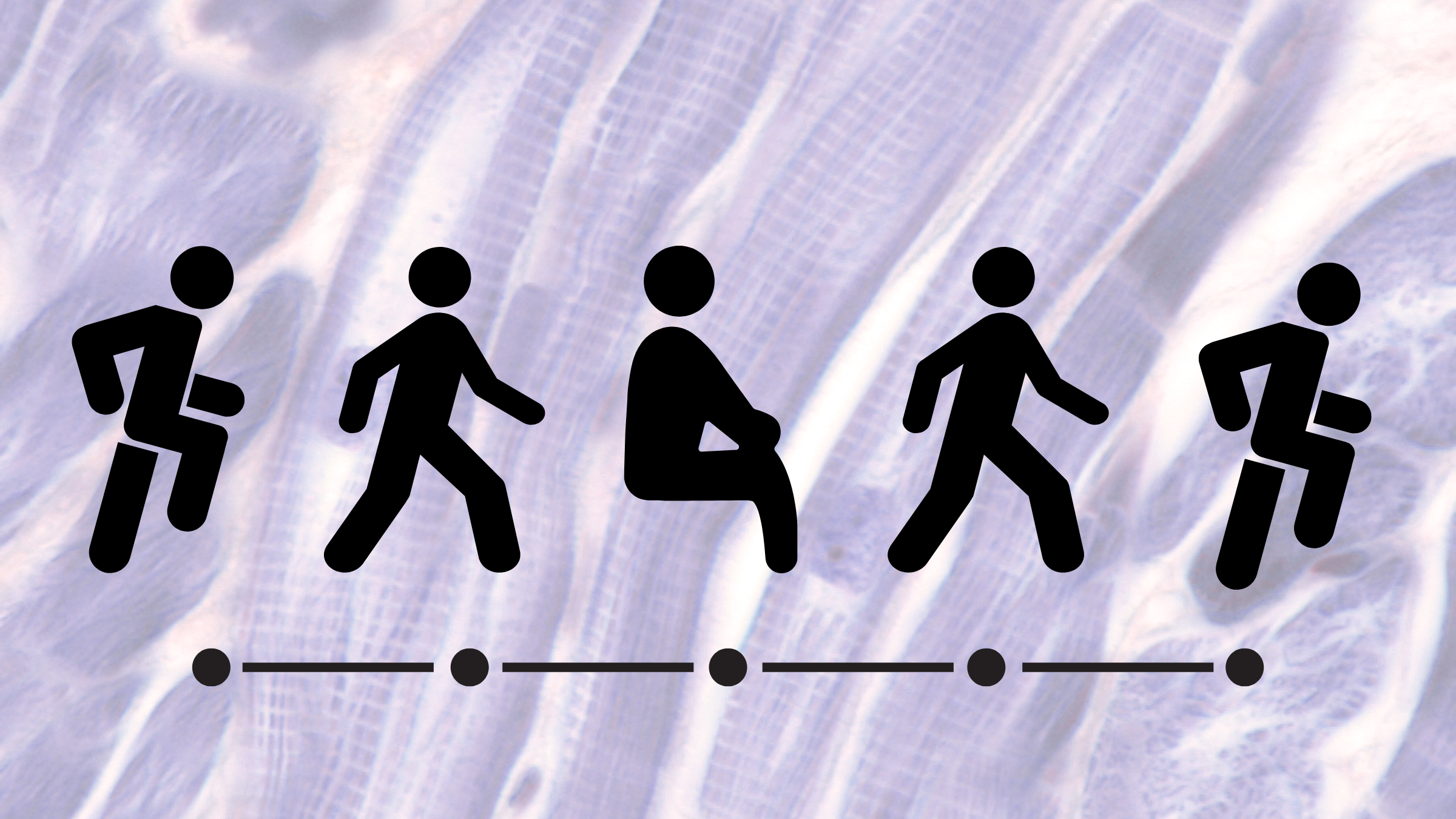 a diagram of a person running to walking to sitting to walking to running again