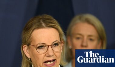 Sussan Ley makes ‘no apology for my passion’ as Labor denounces ‘disgusting’ ‘partisan pile-on’ over Bondi attack | Bondi beach terror attack