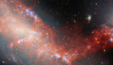 This Webb image shows two interacting galaxies. NGC 4490 occupies the left side of the image, while NGC 4485 appears as a white glowing hue in the top right of the field. Both galaxies are connected by a bright stream of red stretching from the top left of the image, through the bottom center, and ending at the right under galaxy NGC 4485. There are regions of bright blue ionized gas visible in concentrated areas of the red stream. The background is black with multiple galaxies in various shapes throughout.