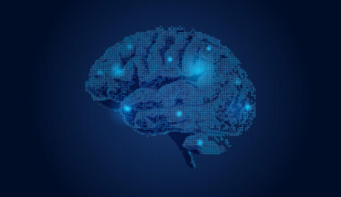 Researchers Discover Molecular Difference in Autistic Brains