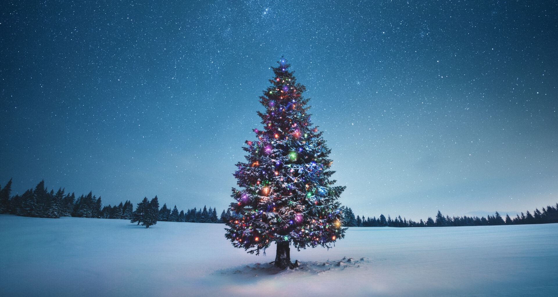 A Christmas tree is pictured in a snow-covered opening bordered by a forest, as a starry night sky twinkles above.