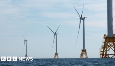 President Trump's ban on wind energy permits 'unlawful', court rules