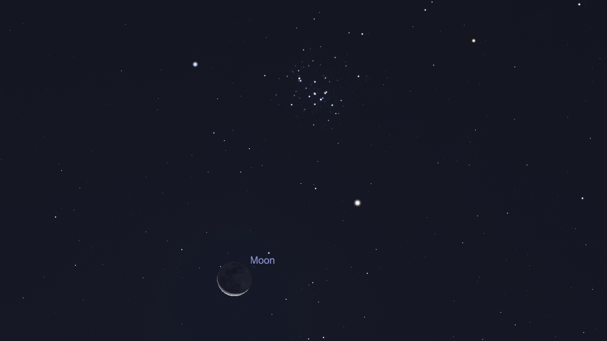 A labeled night sky image with the moon at the bottom at the image in front of a dark blue night sky with a series of white dots at the top of the image for the Beehive Cluster