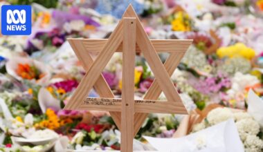 Families of Bondi victims call for federal royal commission