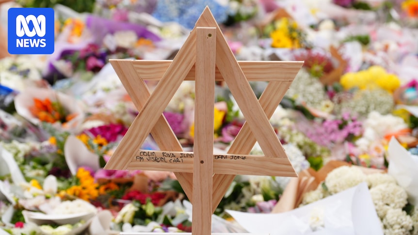 Families of Bondi victims call for federal royal commission