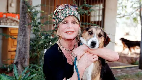 Charly Hel/Prestige/Getty Images Animal rights activist Brigitte Bardot visits her dog refuge "The Nice Dogs" of Carnoules on October 7, 2001 in Paris, France.