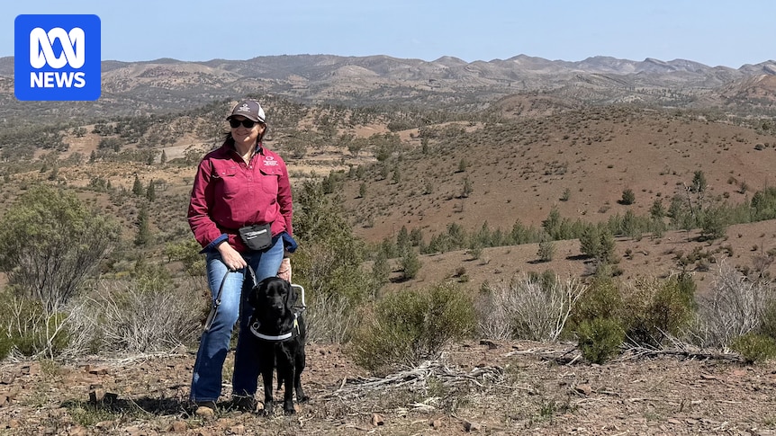 Tarina Warren has been legally blind since she was 16, now a seeing eye dog is helping her navigate life on Moolooloo Station