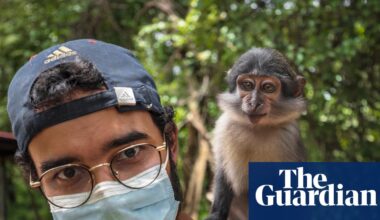 ‘I consider him my first son’: how living with a baby monkey taught me I’m ready to be a dad | Animals