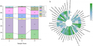 Unraveling the flavor secrets of citrus Pu-erh tea: from volatiles to taste metabolites
