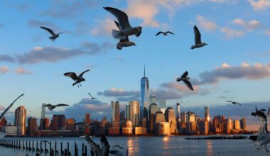 How Soaring Healthcare Costs Are Changing Where Millionaires Move