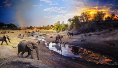 National Geographic's Pictures of the Year: Best Wildlife Photos