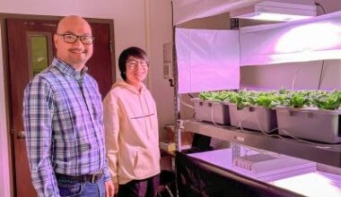 U of I's New Controlled Environment Research Facility Advances Indoor Farming with Stakeholder Input