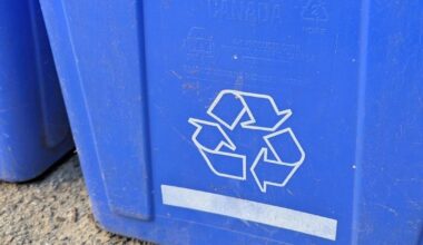 Peterborough residents can recycle more items starting Jan. 1. Here’s what’s included - The Peterborough Examiner