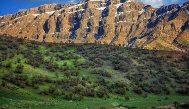 Restoring Iran’s Zagros soils needs half of annual oil income, official warns