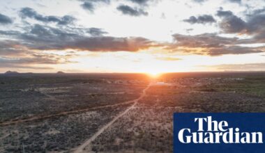 ‘When you plant something, it dies’: Brazil’s first arid zone is a stark warning for the whole country | Climate crisis