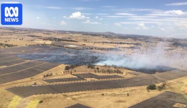 Wellington North solar farm grass fire burns almost 100ha