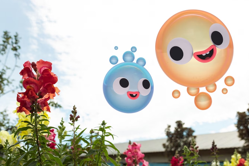 Two colorful balls with cute faces are flying in the air in front of some flowers