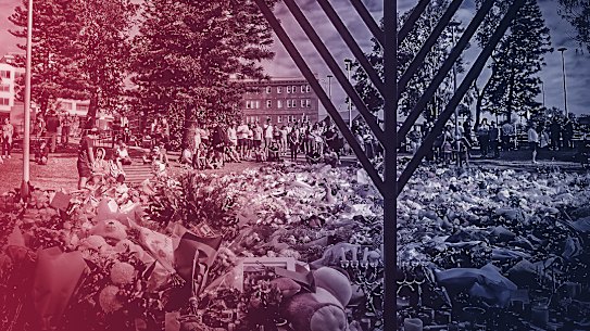 In an exclusive poll, 48 per cent of voters said they would back a royal commission into antisemitism in the aftermath of the Bondi terror attack.