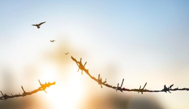 Holocaust survivor Joe Szwarcberg on liberation and telling the truth