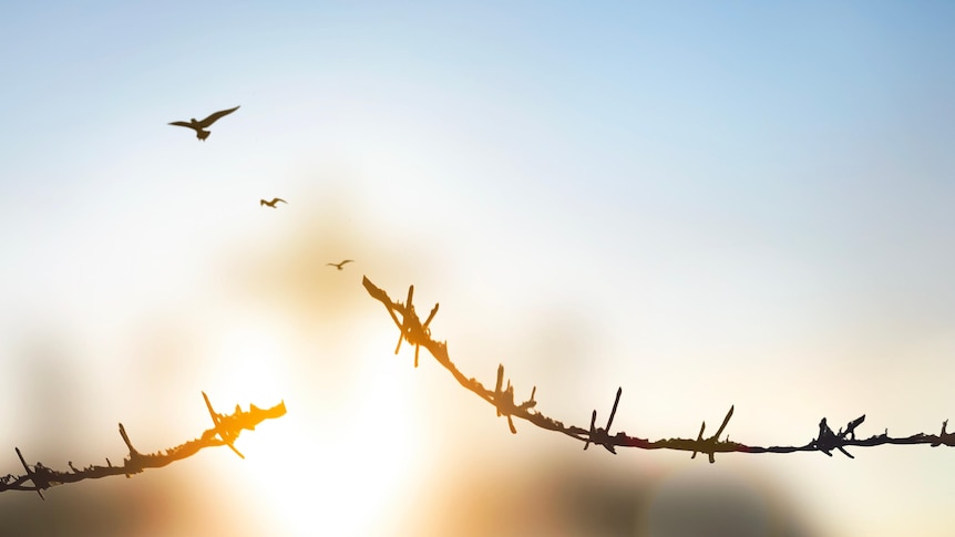 Holocaust survivor Joe Szwarcberg on liberation and telling the truth