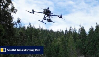 Japanese drone school develops AI system to track bears amid rise in encounters