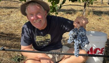 Here are 6 Americans who became 401(k) millionaires