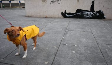 New Banksy art in London? See anonymous artist's latest mural