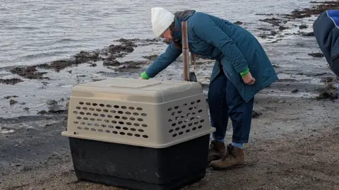 Robson & Prescott Vets Melanie Scott is bending over to open a large grey and black plastic crate containing Popeye the seal. The crate is placed on the sand a few feet from the sea. Ms Scott is wearing a thick, blue coat and white hat.